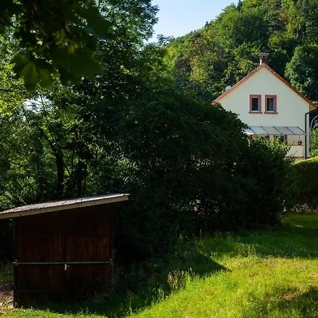 Daire Mengeler Freiburg im Breisgau